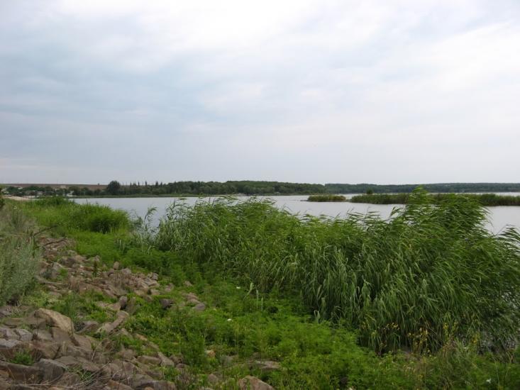 Старі Терни з panoramio.com - Старые Терны