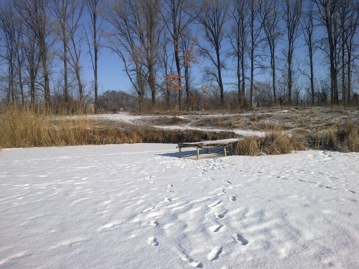 Дніпроенергія з panoramio.com - Дніпроенергія