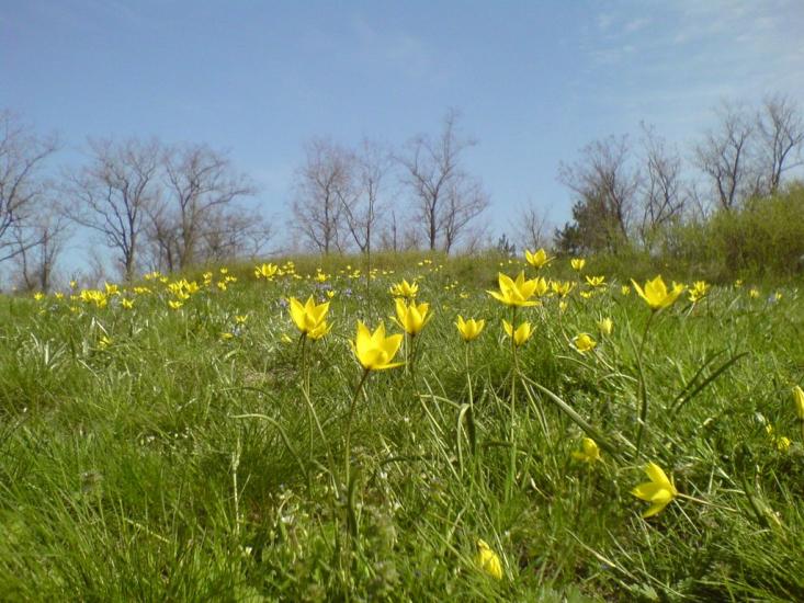 Осипенко з panoramio.com - Осипенко