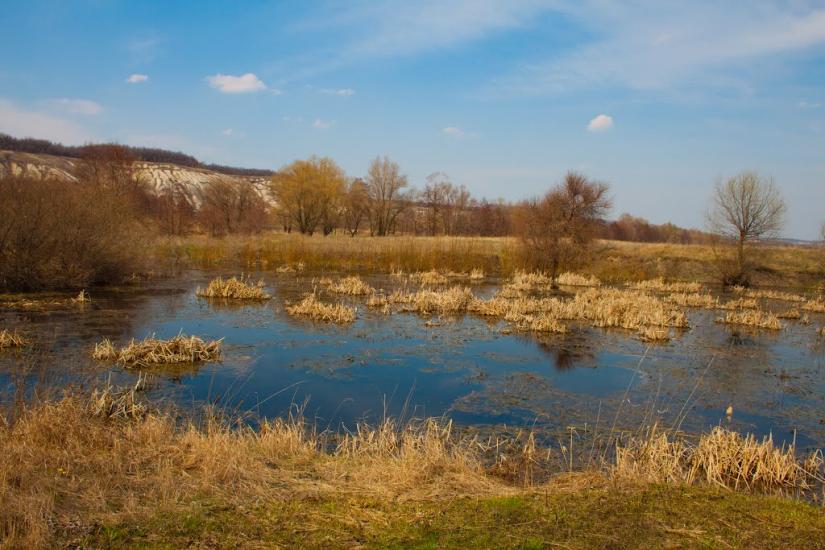 Петро-Іванівка з panoramio.com - Петро-Ивановка