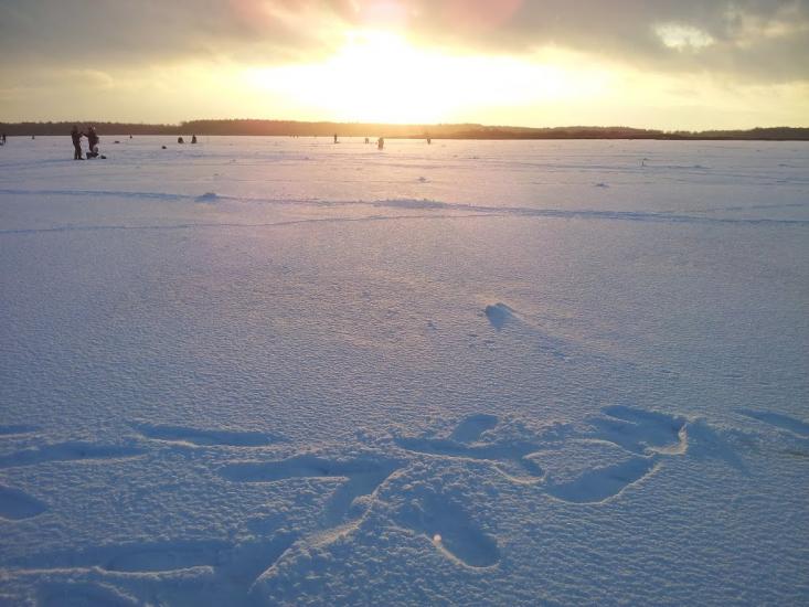 Невір з panoramio.com - Невир