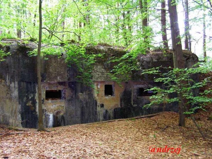 Дев'ятир з panoramio.com - Девятир