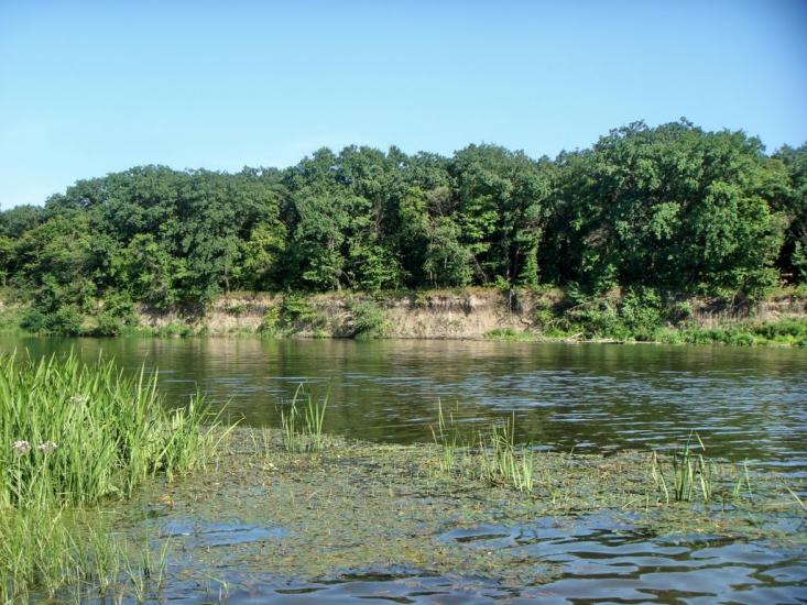 Великий Суходіл з panoramio.com - Великий Суходол
