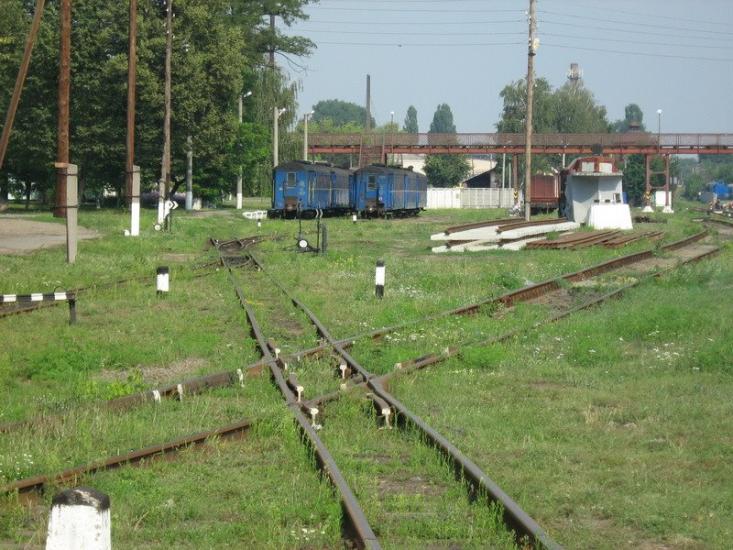 Солгутове з panoramio.com - Солгутово
