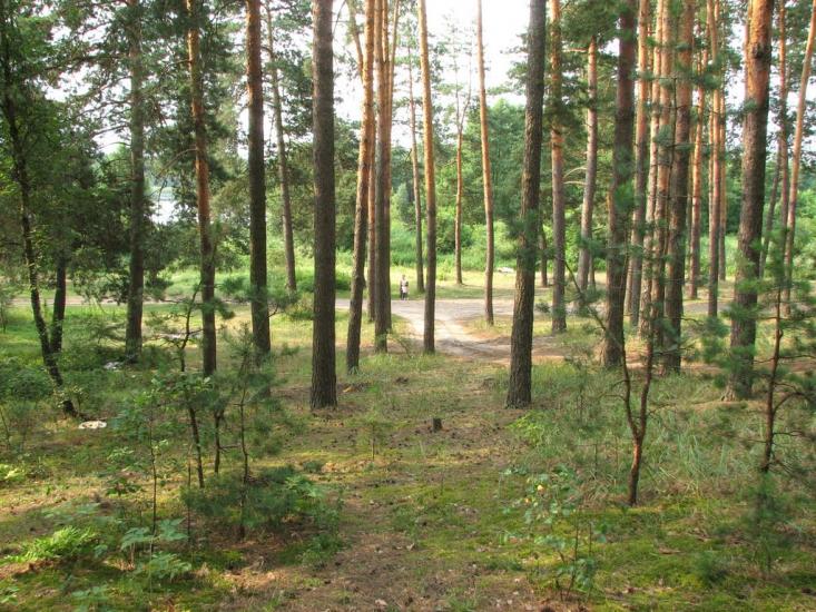 Стригани з panoramio.com - Стриганы