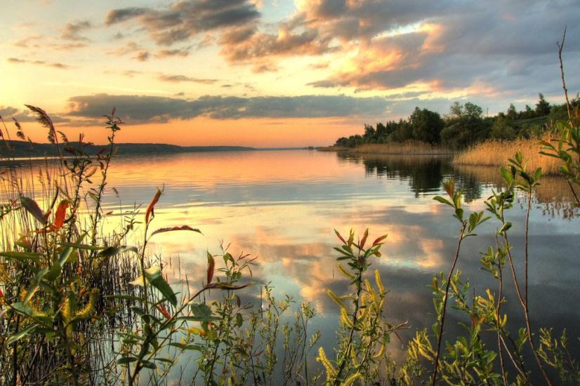 Липці з panoramio.com - Липцы