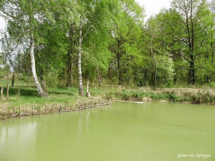 Ліски з panoramio.com - Лески