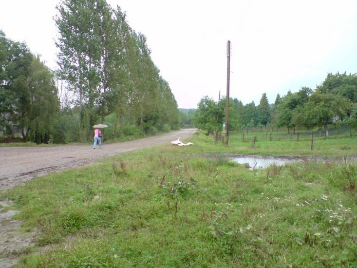 Болозів з panoramio.com - Болозів