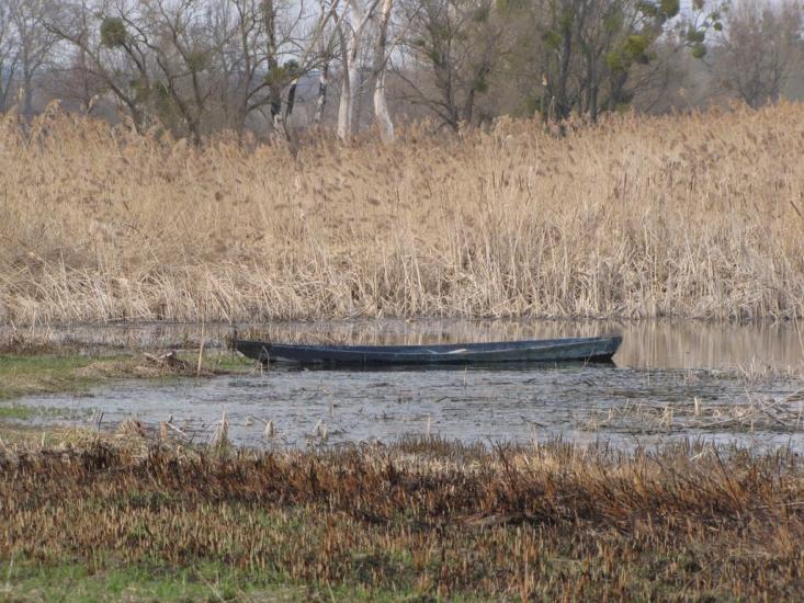 Дибинці з panoramio.com - Дибинці