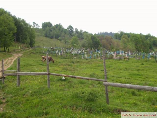 Річка з panoramio.com - Річка