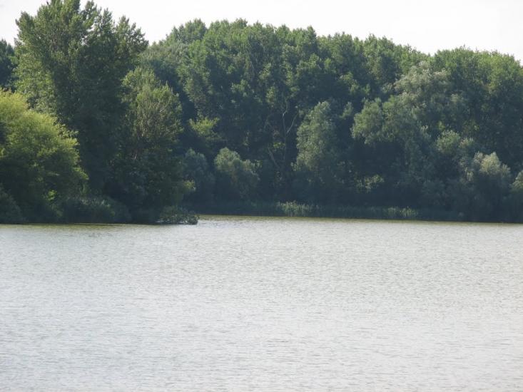 Ладижинка з panoramio.com - Ладижинка