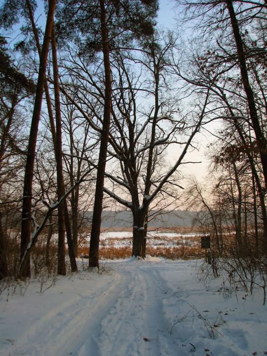 Волиця з panoramio.com - Волица