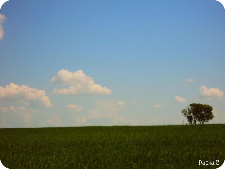 Дачне з panoramio.com - Дачное