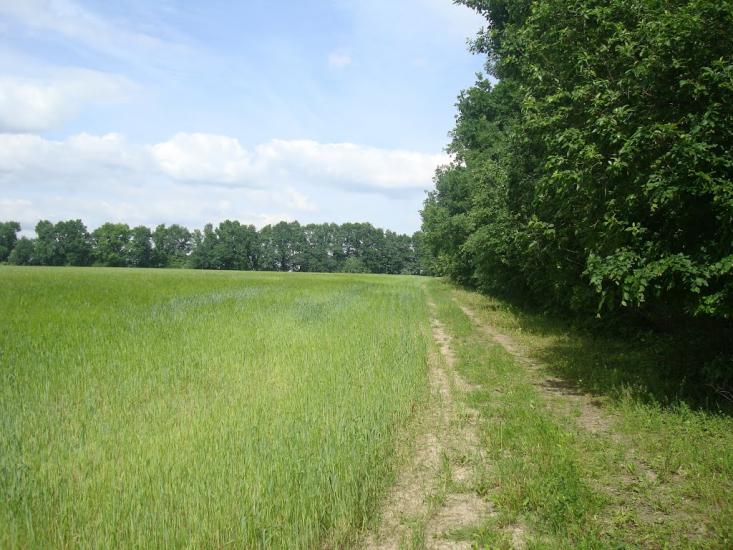 Мала Стружка з panoramio.com - Мала Стружка