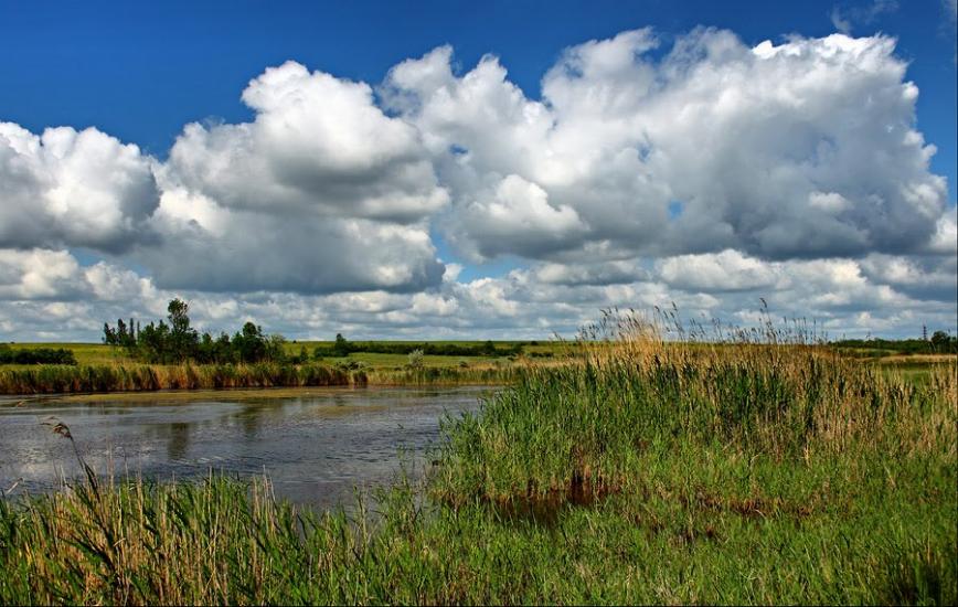 Мала Тернівка з panoramio.com - Mala Ternivka