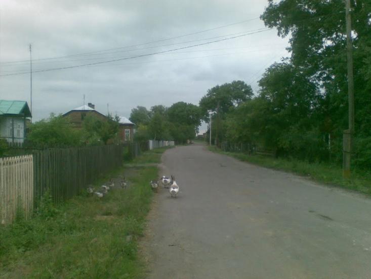 Сушно з panoramio.com - Сушно