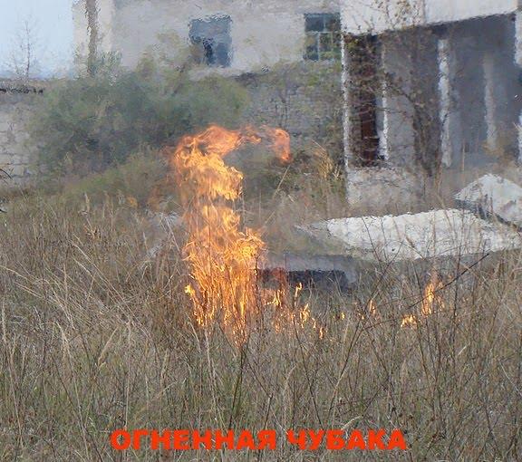 Миколаїв з panoramio.com (ч.4) - Николаев