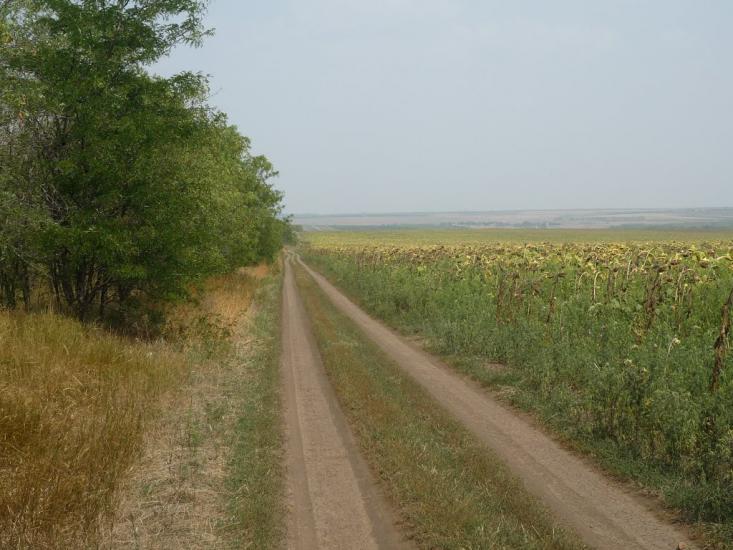 Осипенко з panoramio.com - Осипенко