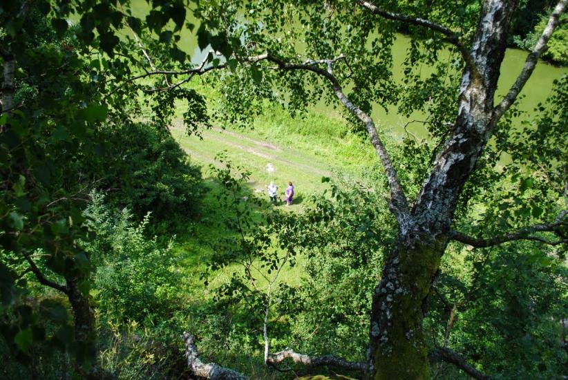 Думенки з panoramio.com - Думенки