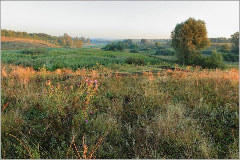 Нове з panoramio.com - Новое