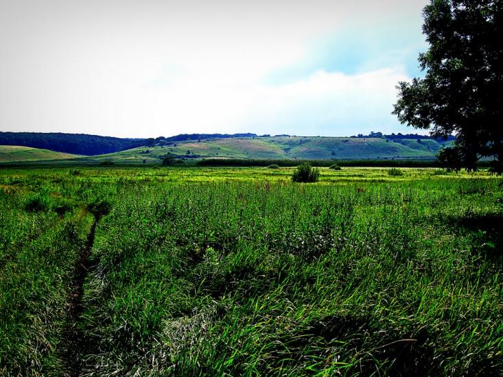 Стрілеча з panoramio.com - Стрілеча