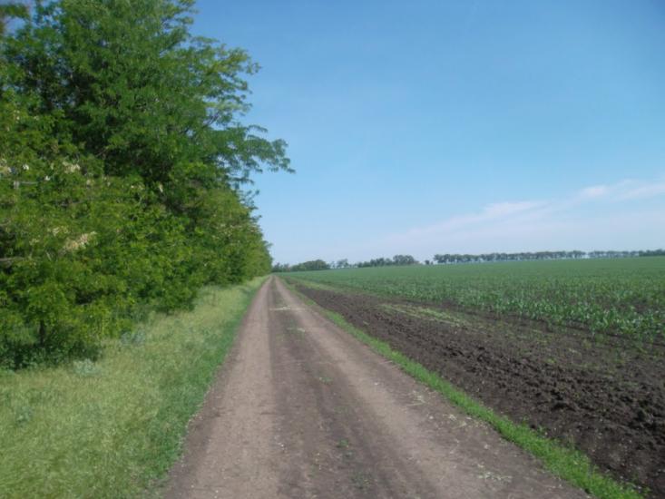 Грушівка з panoramio.com - Грушівка