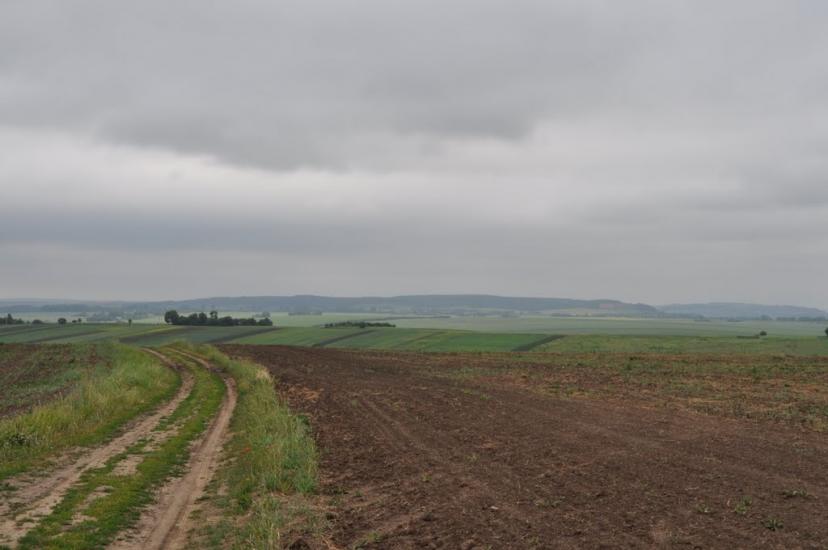 Заріцьк з panoramio.com - Zaritsk