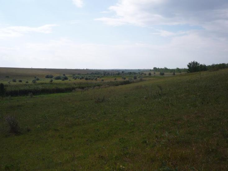 Шевченкове з panoramio.com - Шевченковое