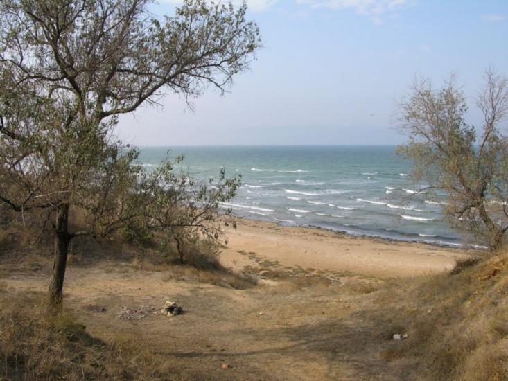 Кам'янське з panoramio.com - Кам'янське