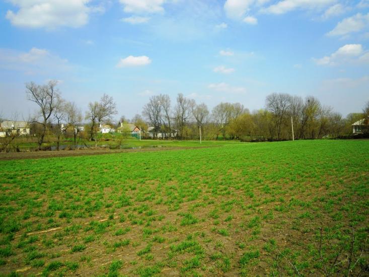 Сальниця з panoramio.com - Сальниця