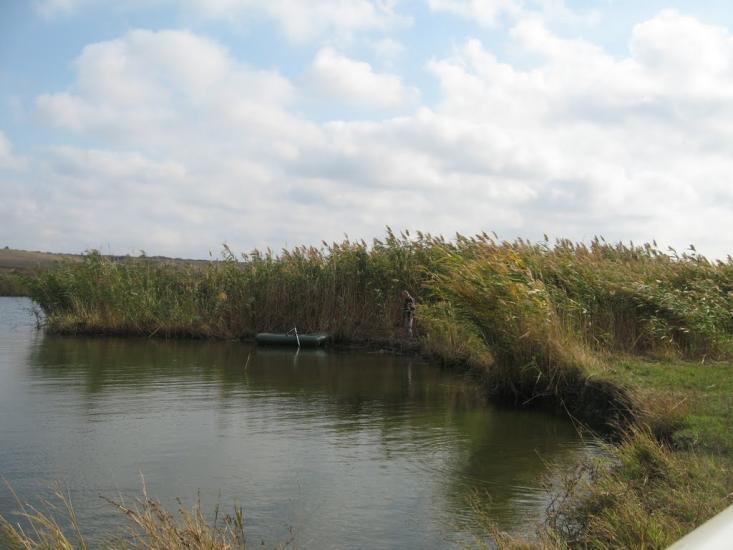 Єлизаветівка з panoramio.com - Елизаветовка