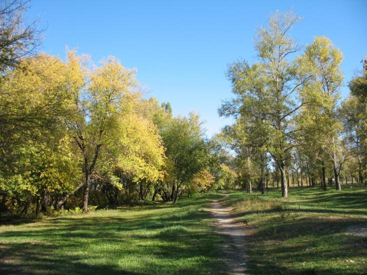 Зідьки з panoramio.com - Zidky