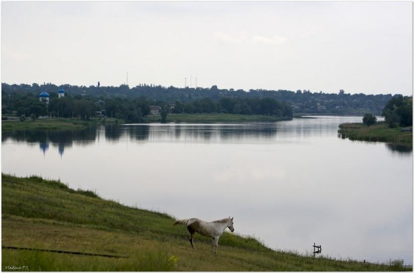 Лозуватка з panoramio.com - Лозоватка