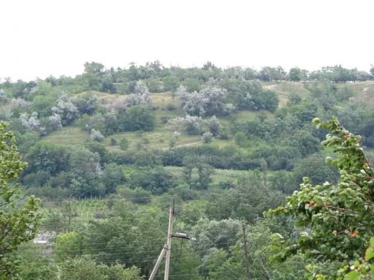 Олександрівка з panoramio.com - Александровка