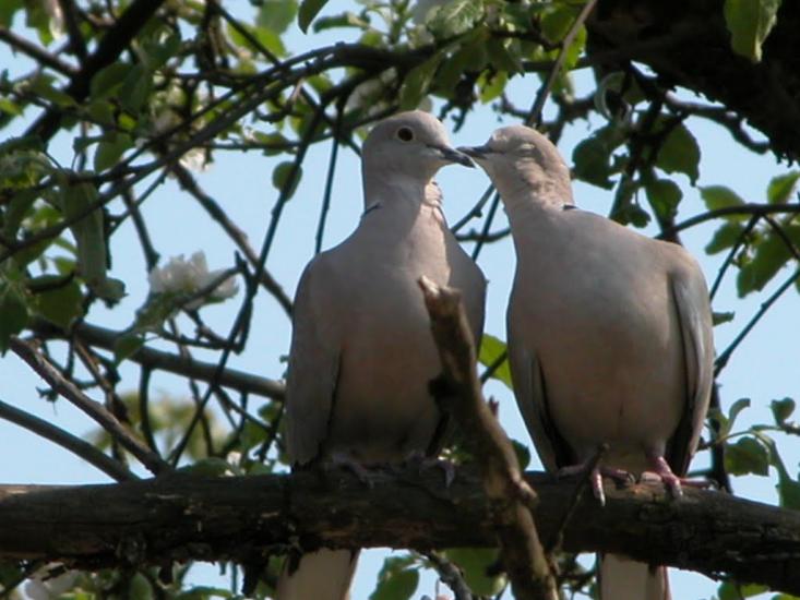 Салькове з panoramio.com - Сальково