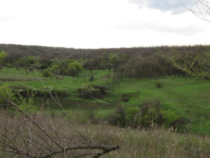 Зелений Гай з panoramio.com - Зеленый Гай