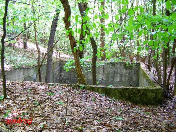 Дев'ятир з panoramio.com - Девятир