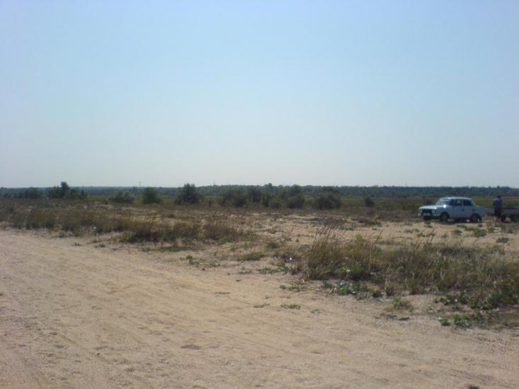 Войкове з panoramio.com - Войкове