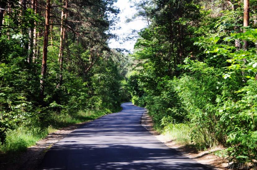 Лісники з panoramio.com - Лесники