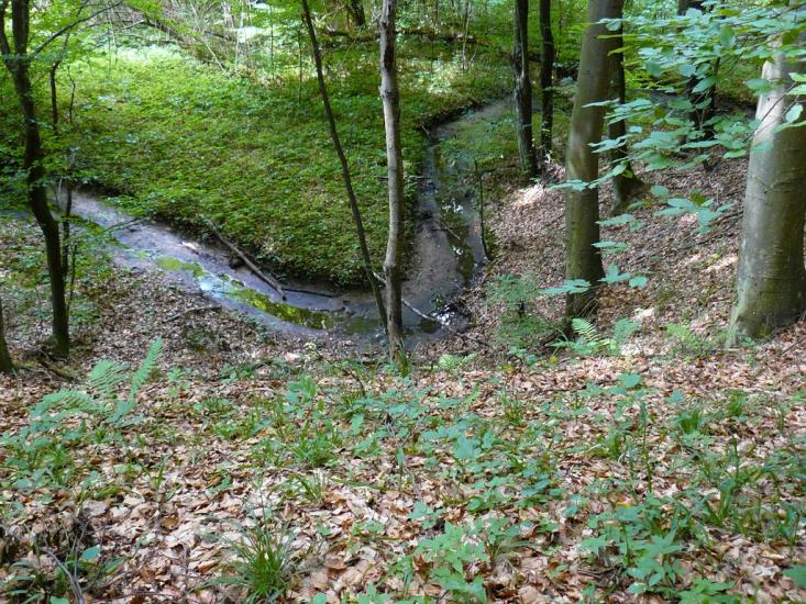Худльово з panoramio.com - Худлово