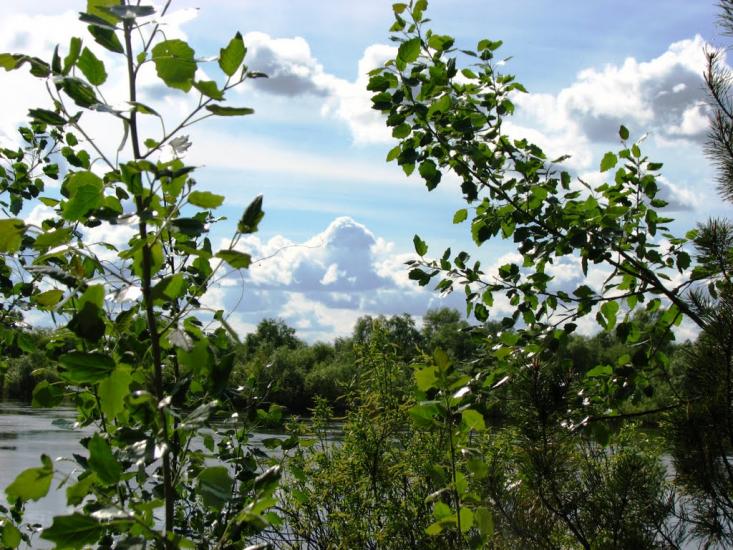 Неданчичі з panoramio.com - Неданчичи