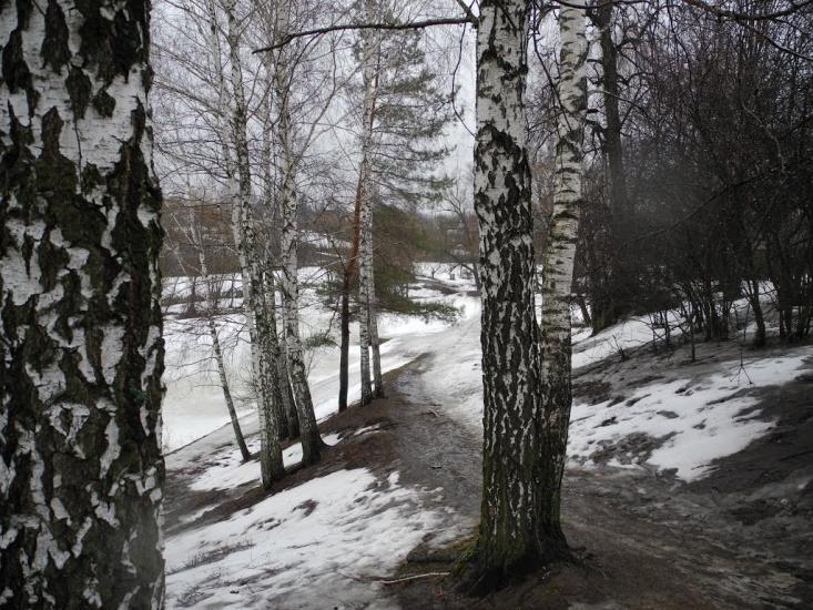 Кролевець з panoramio.com - Кролевец