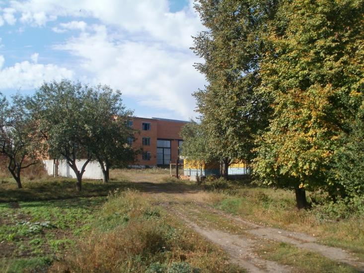 Залужжя з panoramio.com - Залужжя