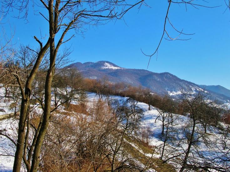 Луг з panoramio.com - Луг