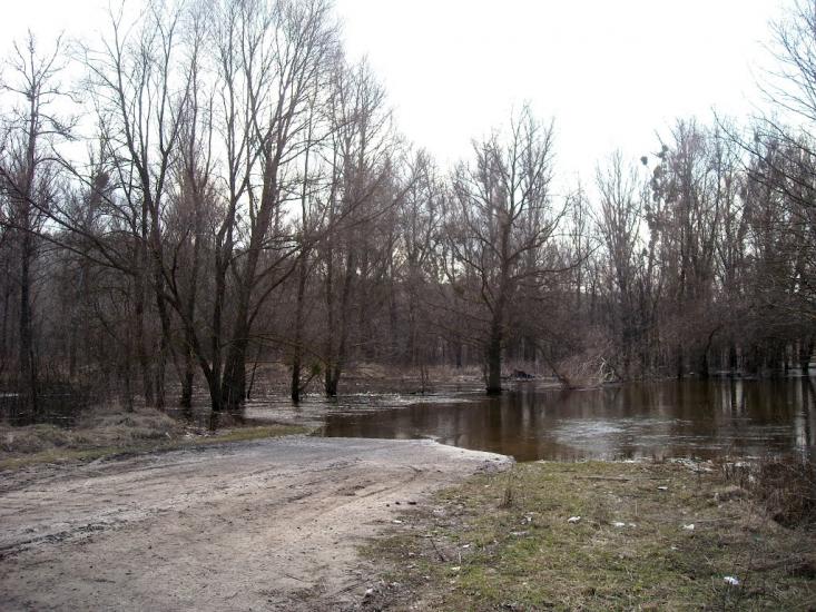 Тернова з panoramio.com - Тернова