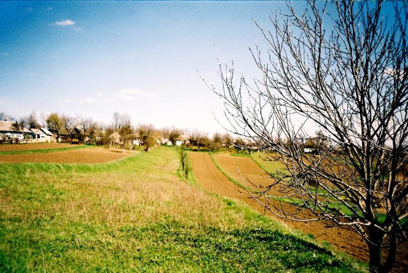 Мартинівка з panoramio.com - Мартинівка