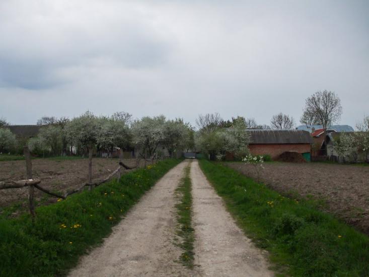 Вільшаниця з panoramio.com - Vilshanytsya