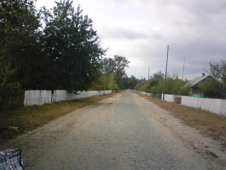 Лісове з panoramio.com - Лісове