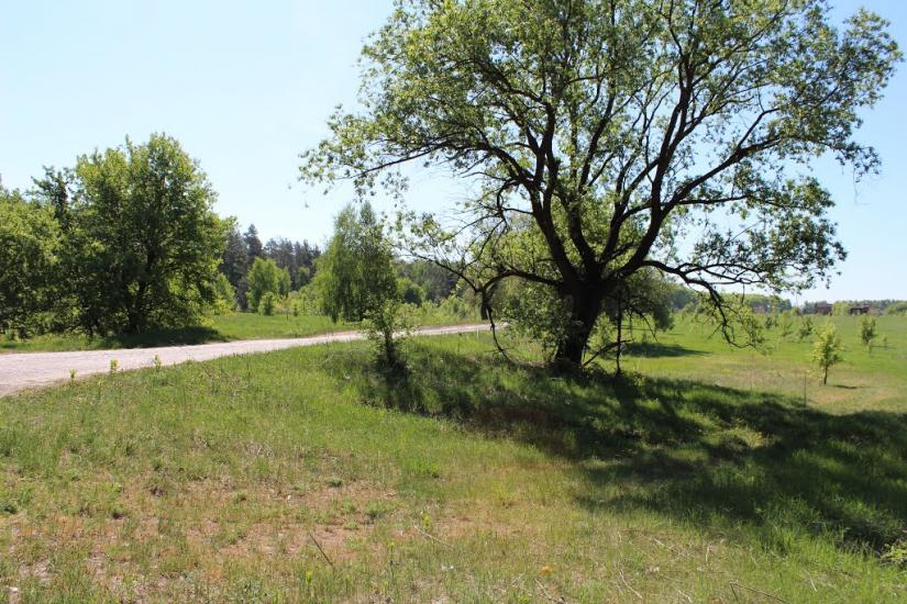 Дешки з panoramio.com - Дешки