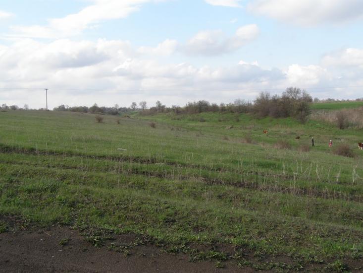 Червоний Кут з panoramio.com - Червоний Кут